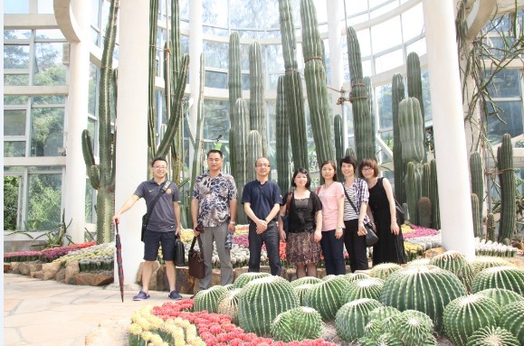 1544609069120284.jpg 5.jpg