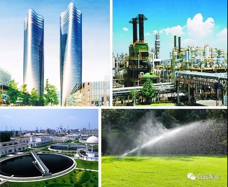 1544770300400952.jpg 2.jpg